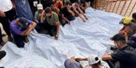 "مجزرة المساعدات".. ارتفاع عدد الشهداء لـ27 فلسطينيًا وإصابة العشرات
