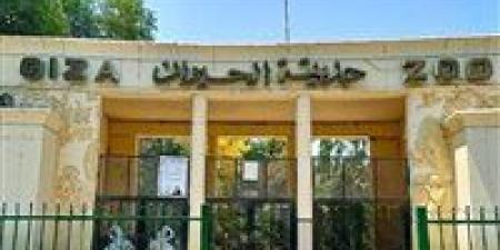 بـ 5 جنيهات.. حدائق الحيوان تستعد للعيد وهذا موقف حديقة الجيزة