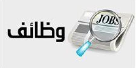 مرتبات تصل إلى 13 ألف جنيه.. وزارة العمل تعلن عن وظائف جديدة