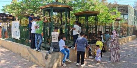 ”الزراعة”: حدائق الحيوان الإقليمية والأسماك بالزمالك استقبلت 38 ألف زائر