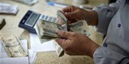تعرف على موعد زيادة المعاشات 2025
