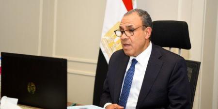 مصر.. وزير الخارجية يشارك في اللقاء الافتراضي مع الجالية المصرية في بريطانيا