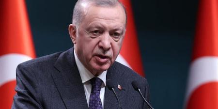 أردوغان يعرض على نظيره الإيراني الوساطة التركية في المفاوضات النووية