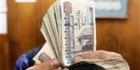 هتقبض 700 جنيه زيادة من أول الشهر.. تفاصيل العلاوة الدورية 2025 بعد التصديق الرسمي على القانون