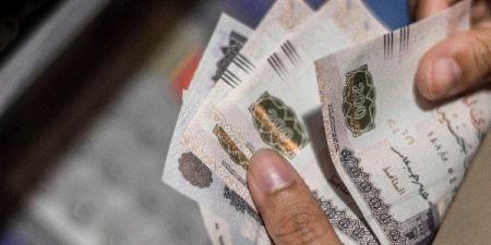 مرتبات شهر يوليو 2025 بعد الزيادة لجميع الدرجات الوظيفية.. هل تم تبكير موعد الصرف؟