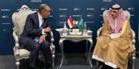 وزير الخارجية ونظيره السعودي يناقشان تداعيات التصعيد بين إسرائيل وإيران على المنطقة