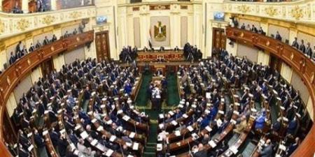 برلماني: قوة وحكمة السيسي أنقذت الوطن في 30 يونيو