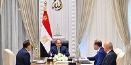 الرئيس السيسي يوجه بمُواصلة الجهود المكثفة لتعزيز الانضباط المالي