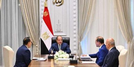وزير المالية يستعرض أمام السيسي خطوات متابعة تنفيذ إصلاحات برنامج صندوق النقد الدولي