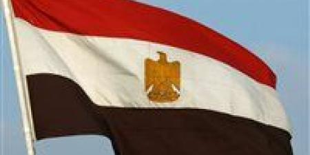 عاجل.. مصر تؤكد تضامنها الكامل مع دولة قطر الشقيقة ووقوفها إلى جانبها