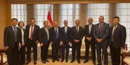 وزير الاستثمار يبحث مع شركات صينية فرص التعاون في الطاقة وتحلية المياه والصناعات الاستراتيجية