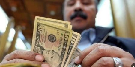 قفزة تاريخية في تحويلات المصـريين العاملين بالخارج خلال 10 أشهر