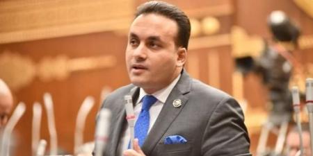 النائب عمرو فهمي: 30 يونيو سيظل شاهدا على لحظة فاصلة في تاريخ الوطن
