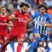 محمد صلاح.. موعد مباراة ليفربول وبرايتون في الدوري الإنجليزي الممتاز والقنوات الناقلة والتشكيل المتوقع