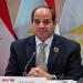 السيسي: نسعي إلى ربط المحافظات بأجهزة الحكومة من خلال الميكنية الكاملة