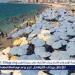 تزامنًا مع بداية فصل الصيف الرسمي.. إقبال كثيف على شواطىء الإسكندرية