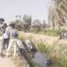 سقوط سيارة "أجرة" في بحر البطس بالفيوم