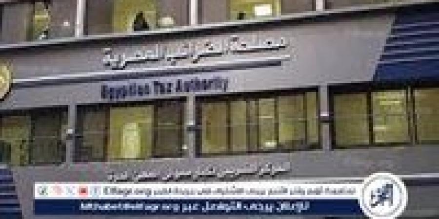 رئيس جمعية الضرائب المصرية: «الحوافز الجديدة».. تساعد فى توسيع القاعدة الضريبية