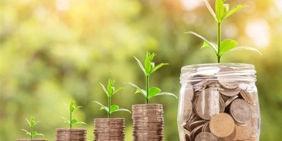 لو عايز تستثمر فلوسك في الشهادات.. اعرف توقعات أسعار الفايدة في مصر