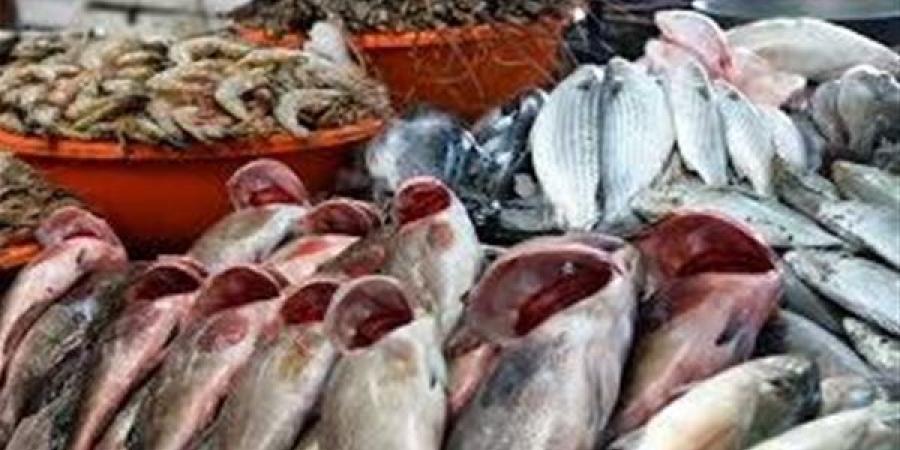أسعار السمك اليوم الأحد 4 مايو 2025.. القائمة بالتفصيل