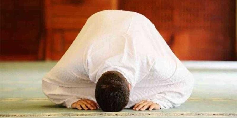 أمين الفتوى: 12 ركعة سنّة في اليوم تبني لك بيتًا في الجنة