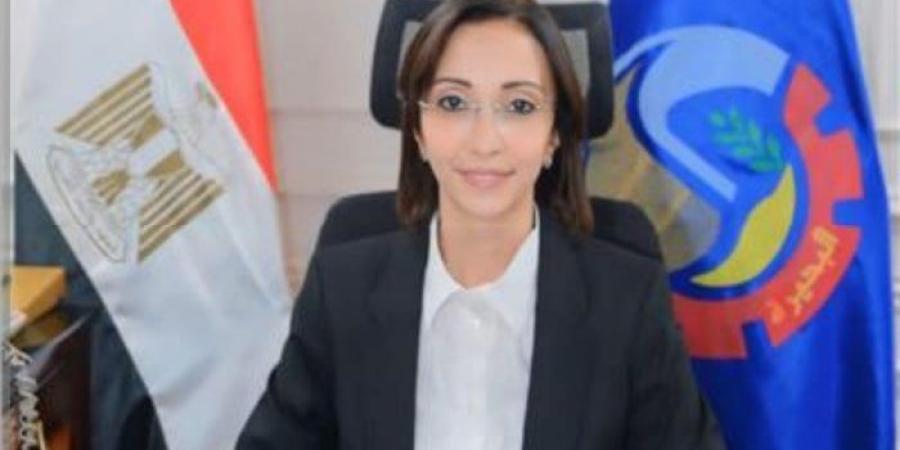 ب 20 مليار جنيه.. تنفيذ 323 مشروعًا استثماريًا لتحسين جودة الخدمات في البحيرة
