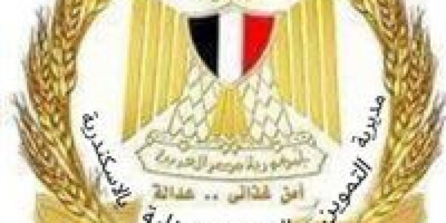 الإسكندرية تستقبل 11095 طن من الأقماح المحلية