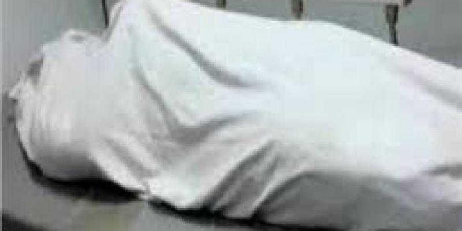 محاكمة عامل وشقيقه بتهمة مقاول السلام.. بعد قليل