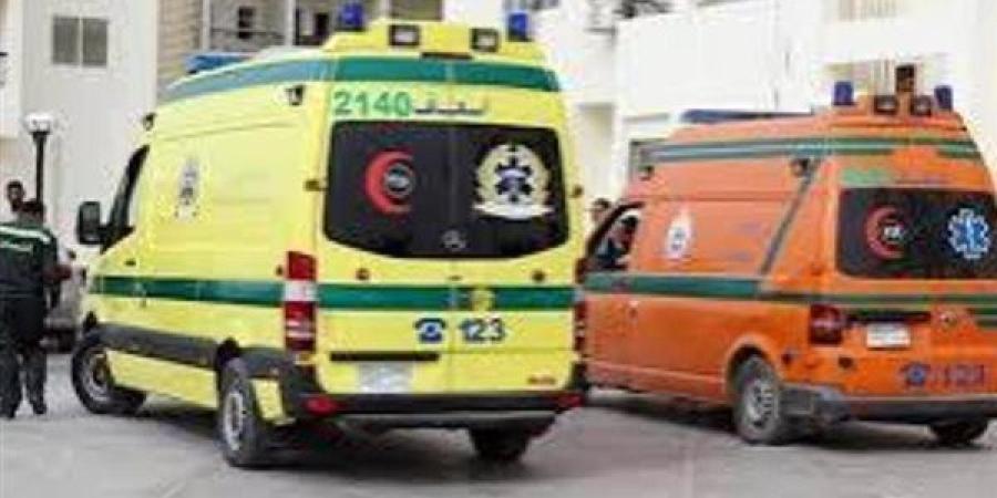 مصرع وإصابة 11 شخص بحادث تصادم بين سيارة نقل وميكروباص