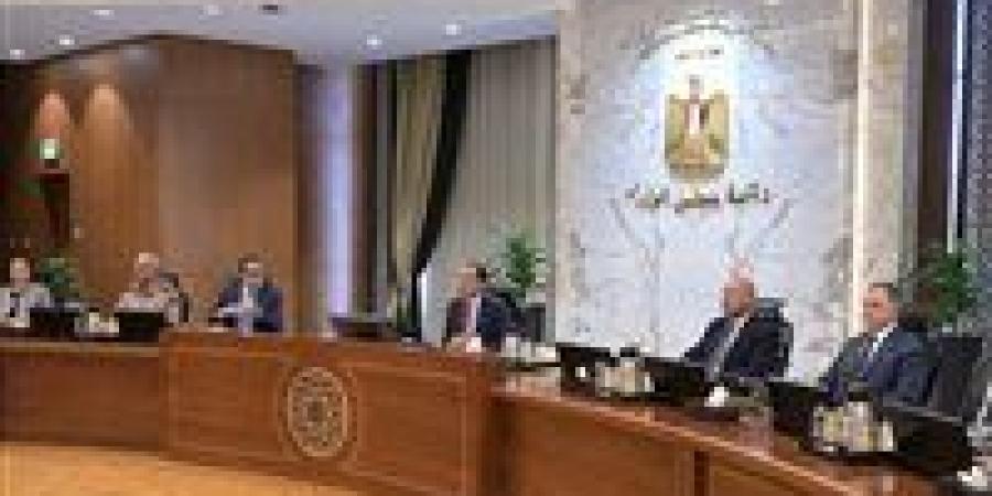 الحكومة توافق على لائحة صندوق تحسين الخدمة بمستشفيات ومراكز الصحة النفسية
