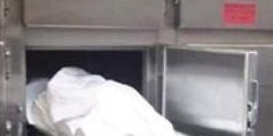 شاب يقتل زوجته ويصيب والدته بشاكوش فى المحلة