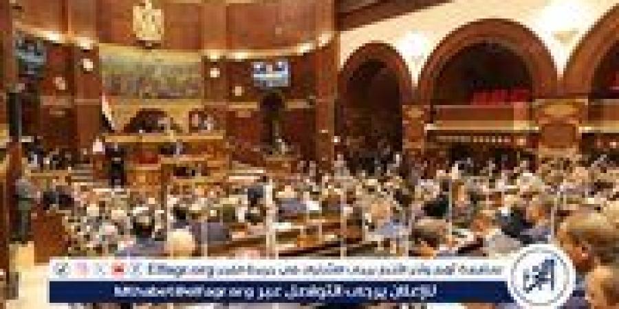 تفاصيل إحالة مجلس الشيوخ عددًا من تقارير اللجان النوعية للحكومة لتنفيذ توصياتها