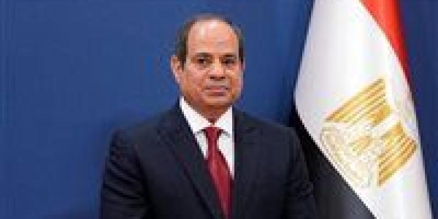 الرئيس السيسي: لم تخرج مركب هجرة واحدة انطلاقا من مصر إلى أوروبا منذ سبتمبر 2016