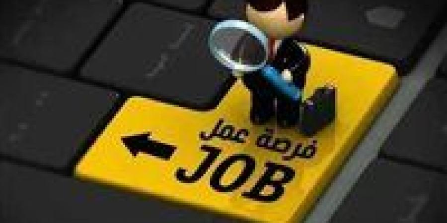 صندوق مكافحة وعلاج الإدمان يعلن عن وظائف شاغرة