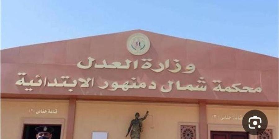 الحكم بالمؤبد 4 أشخاص لاتهامهم بخطف طفل بالبحيرة