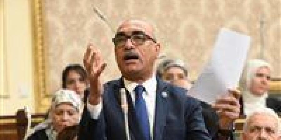 إهدار 10 مليار جنيه بالشرقية للدخان.. برلماني يفجر مفاجأة ويتقدم بطلب إحاطة