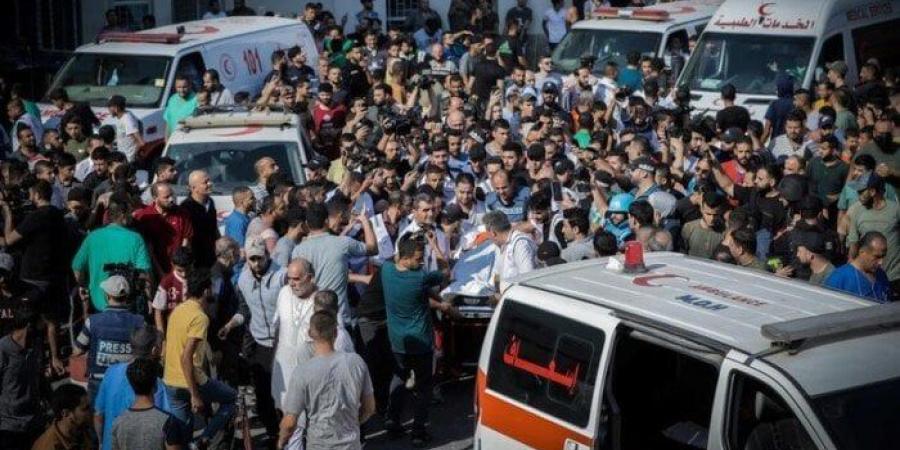 100 شهيد خلال 24 ساعة: الاحتلال يواصل جرائم الإبادة الجماعية في قطاع غزة