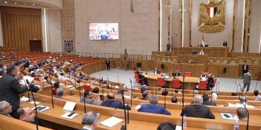 النواب يقر موازنة “القومي للإعاقة” بـ28 مليون جنيه للعام المالي الجديد
