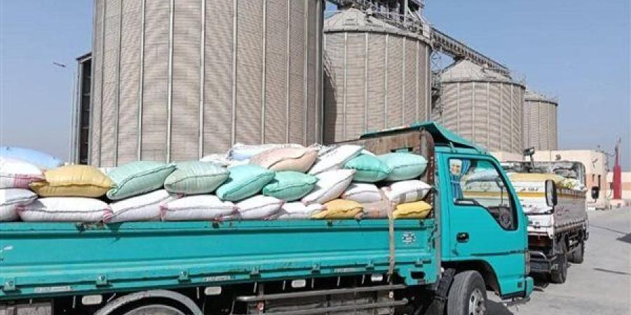المواقع التخزينية بالشرقية تستقبل 342055 طن قمح