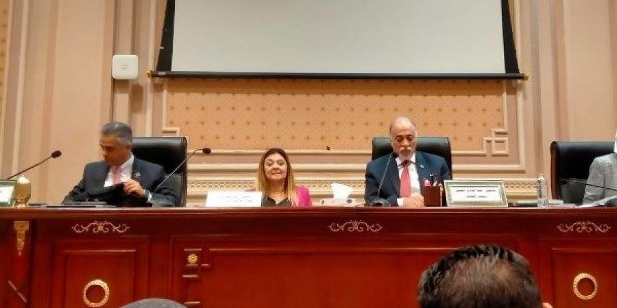 "القومي للأشخاص ذوي الإعاقة" يناقش موازنة المجلس مع لجنة التضامن