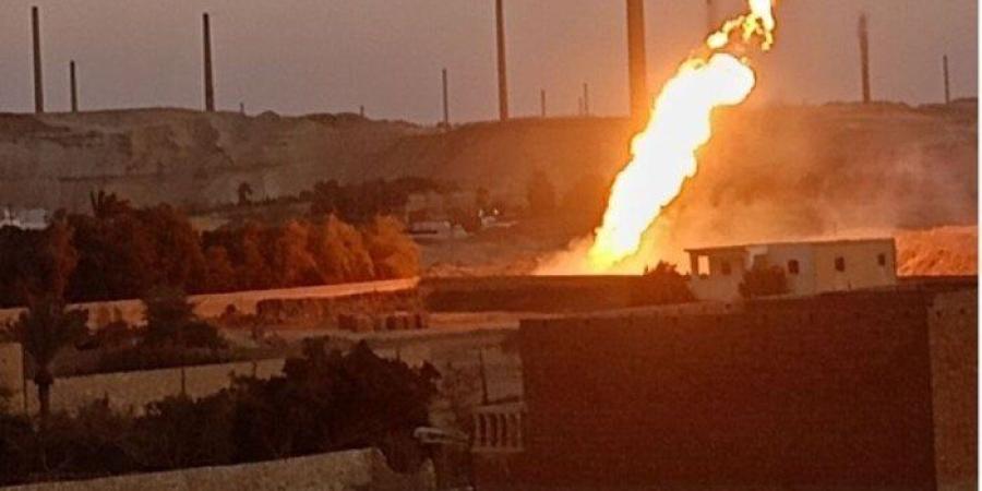 نفوق 110 رأس أغنام في حريق حظيرة بالمنيا والسبب: عقب سيجارة