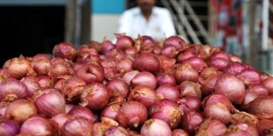 قنطار البصل.. كم كيلو جرامًا يساوي؟