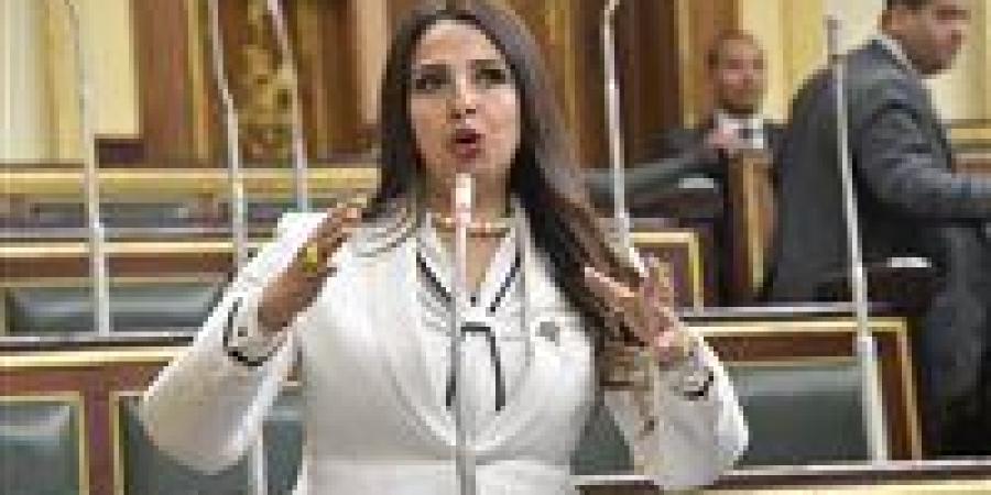 نشوى الشريف "نائبة التنسيقية": منحة الاتحاد الأوروبي لدعم استراتيجية السكان تتوافق مع أولويات خطة التنمية الوطنية لصعيد مصر