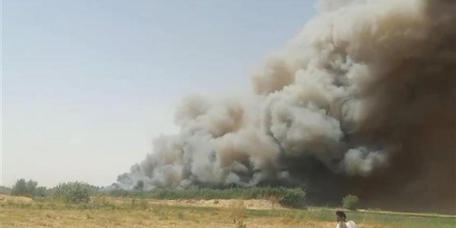 حريق يلتهم الغابات الشجرية في قرية الجبلاو بقنا