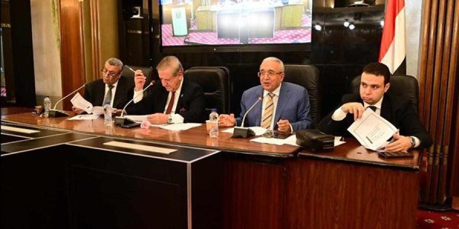 اليوم.. النواب ينظر خطة التنمية لـ2025-2026 بحضور المشاط