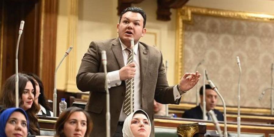 نائب التنسيقية: "كل جنيه يُضخ لدعم الاستراتيجية السكانية استثمار في مستقبل مصر"