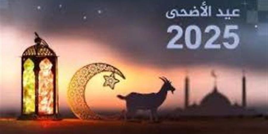استعدادات مكثفة لعيد الأضحى.. التموين تؤمن السلع وتطمئن المواطنين| تعرف على التفاصيل