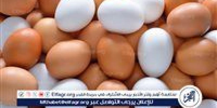 أسعار طبق البيض اليوم الثلاثاء 13-5-2025 في قنا