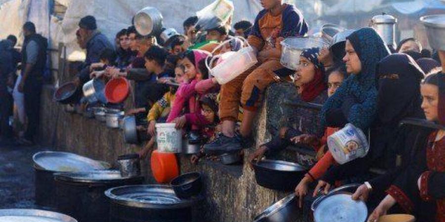 الصحة العالمية: الوضع في غزة كارثي ونصف مليون شخص يواجهون خطر المجاعة