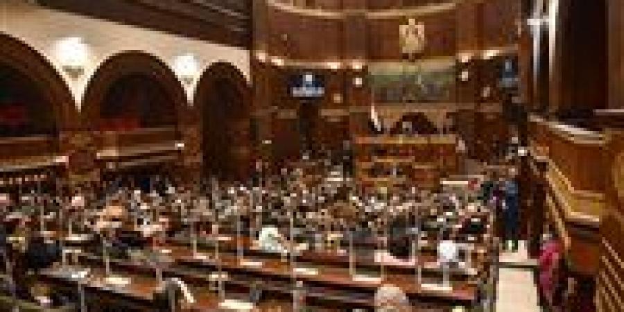 خطة التنمية ومعوقات تسجيل الأراضي الزراعية.. ملفات هامة تحت قبة الشيوخ الأسبوع المقبل